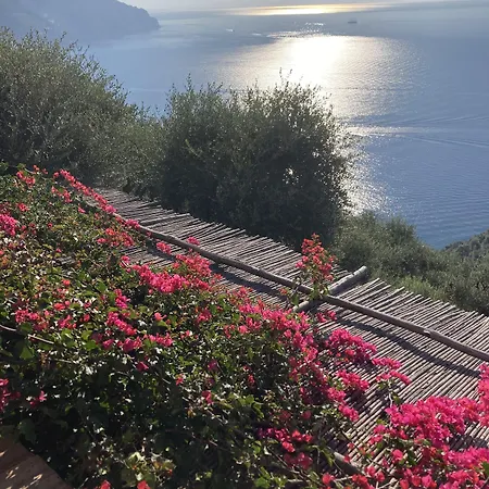 Bed & Breakfast I Limoni 3*