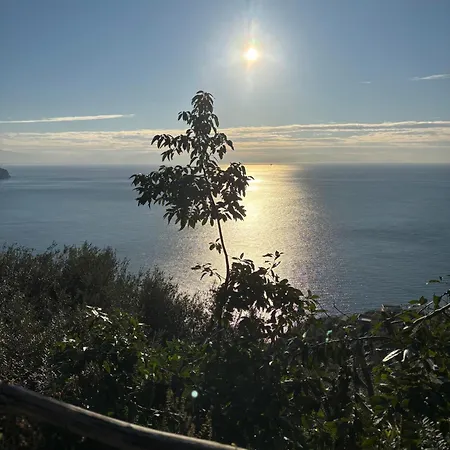 ベッド・アンド・ブレックファスト I Limoni 3*