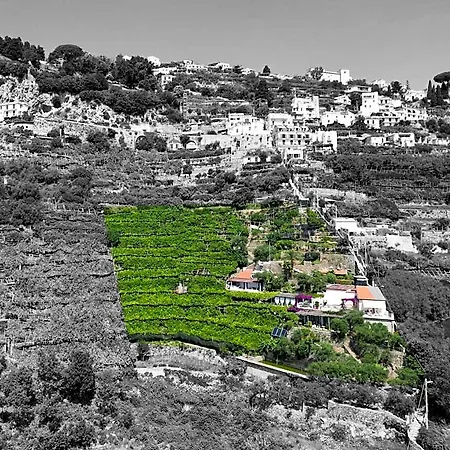 Bed and Breakfast I Limoni Ραβέλλο